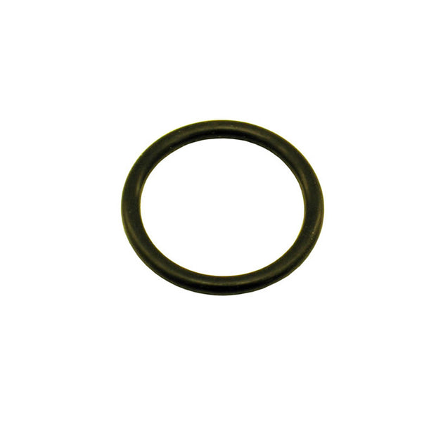 Nitrous Express - 5/8  O-RING FOR MOTORCYCLE BOTTLE VALVE (FITS 2LB BOTTLES AND SMALLER) - 11027-1