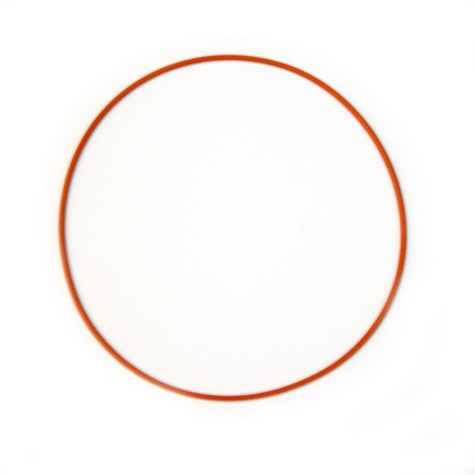 Nitrous Express - Replacement O-ring Gasket For Coyote Plate - 16249