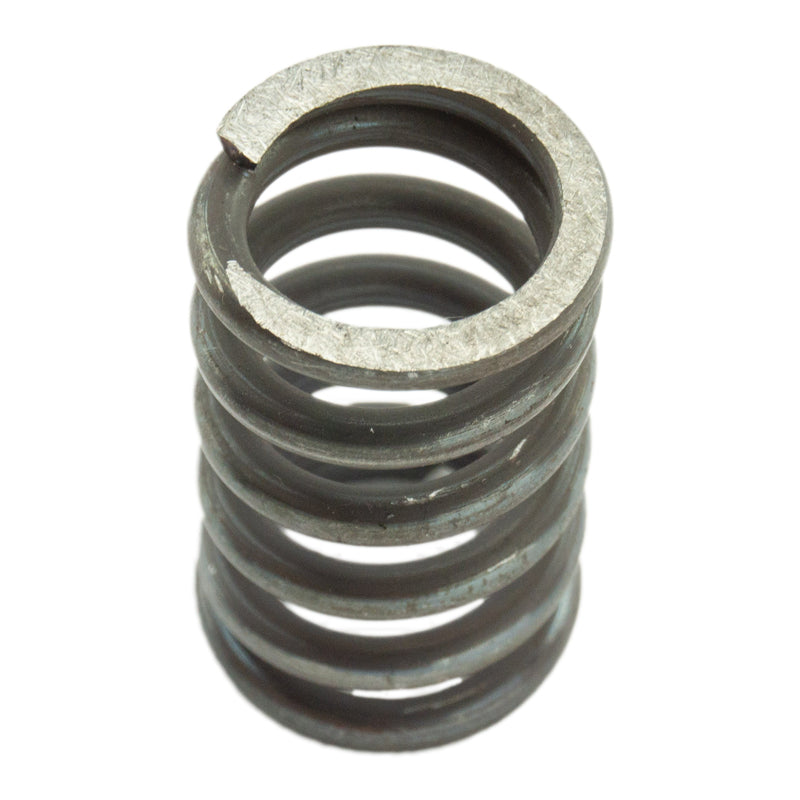 Industrial Injection 120LB Upgraded Valve Springs - 1998.5-2018 24V Cummins