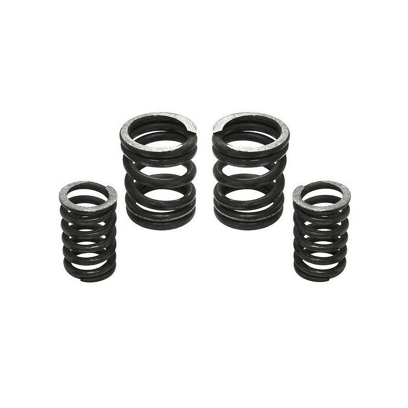 5000 RPM Governor Spring Kit 5000GSK