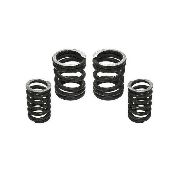 5000 RPM Governor Spring Kit 5000GSK