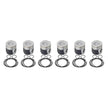 1991-1998 5.9L Cummins 12V 6BT .040 Over Flycut  Coated & Chamfered X-Series Pistons
