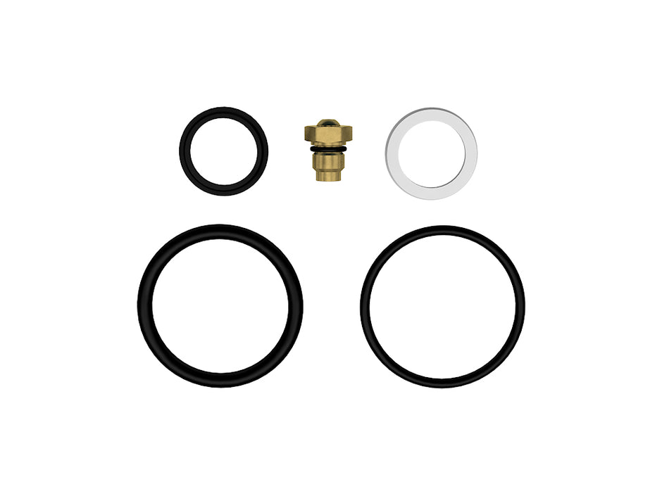 2.5 IFP REBUILD KIT VITON