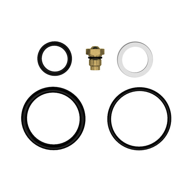 2.5 IFP REBUILD KIT VITON