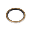 Radial Seal