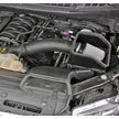 JLT Cold Air Intake for 2015-2016 F-150 5.0L - S&B