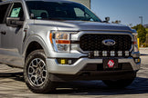 Squadron SAE/Sport Fog Pocket Kit - '21-23 F-150 W/o DRL (SAE Fog; Clear; Upfitter Wiring)