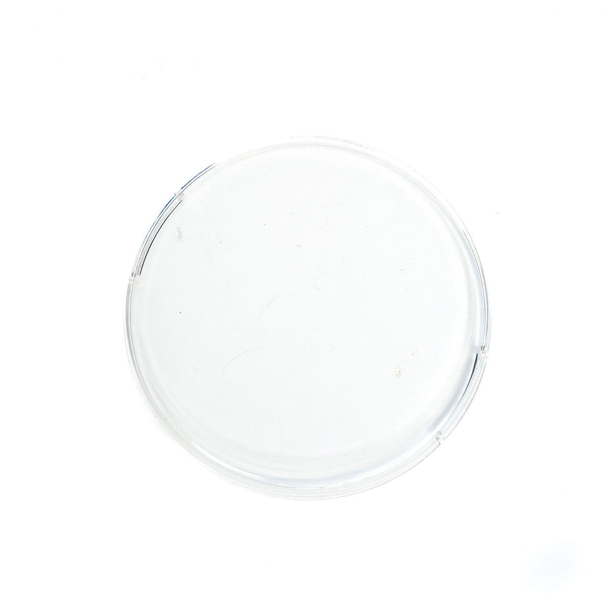 Squadron-R 2.0 Single Rock Guard (Clear)