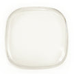XL Rock Guard (Clear)