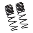 2 In. Rear Dual Rate Long Travel Coil Spring Set