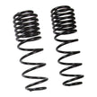 3 In. Rear Dual Rate Long Travel Coil Springs Component Box