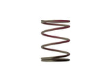 Turbosmart - TS-0505-2006 - Turbocharger Wastegate Spring